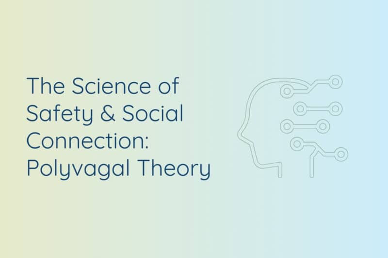 The current image has no alternative text. The file name is: Polyvagal-Theory-website-banner-template-.jpg