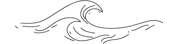 mission waves