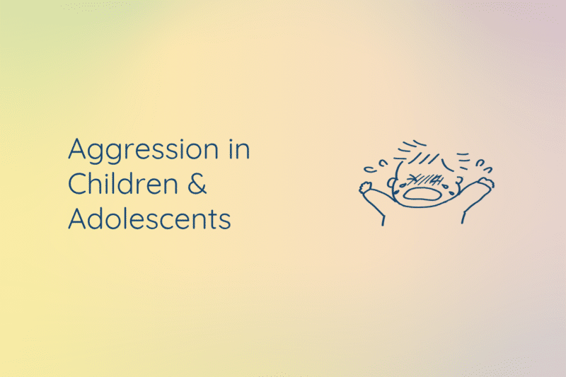 The current image has no alternative text. The file name is: Aggression-in-Children-Adolescents-94-website.png